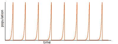 population boom and crash cycle