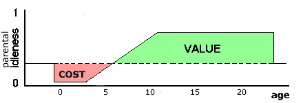 child cost and value to parents